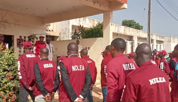 NDLEA Shortlisted Candidates 2025/2026 Is Out | NDLEA PDF Final List