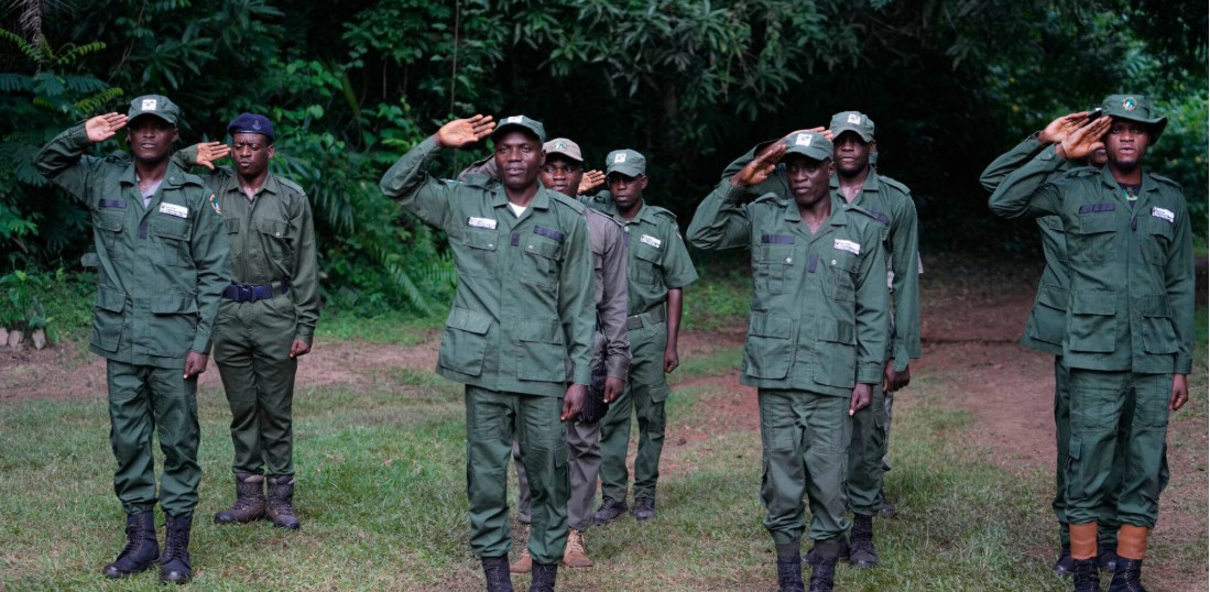 Nigeria Forest Guards Recruitment
